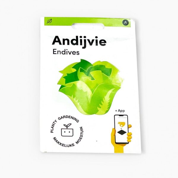 Andijvie Makkelijke Moestuin