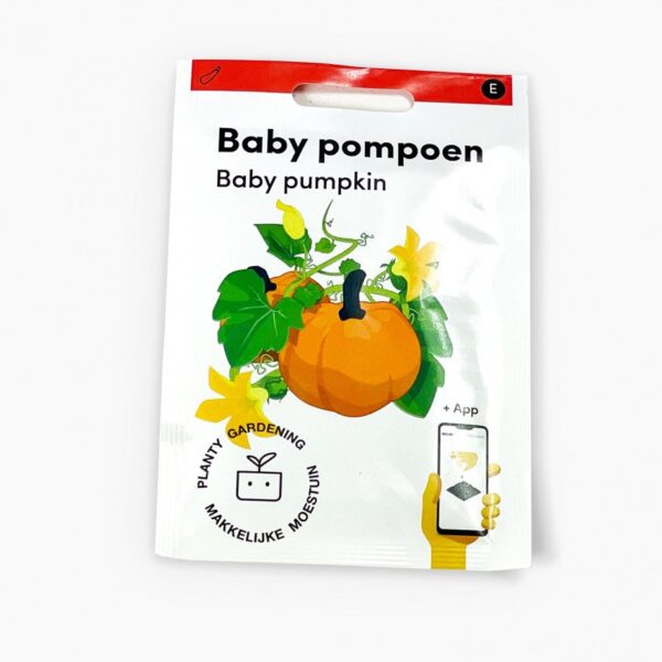 Baby Pompoen Makkelijke Moestuin