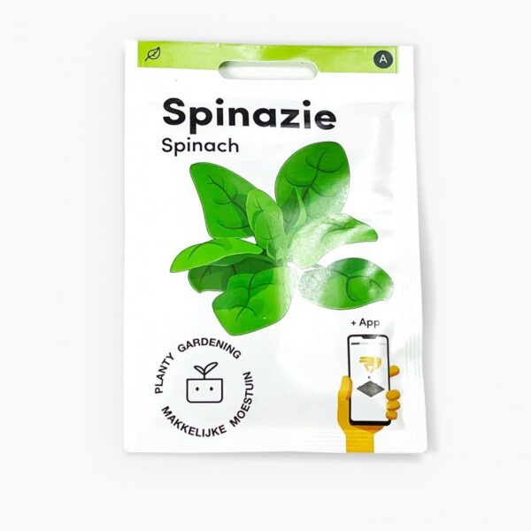 Spinazie Makkelijke Moestuin