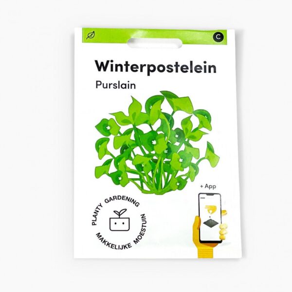 Winterpostelijn Makkelijke Moestuin