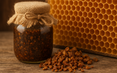 Wat is Propolis? De natuurlijke wonderstof van de Bijenwereld