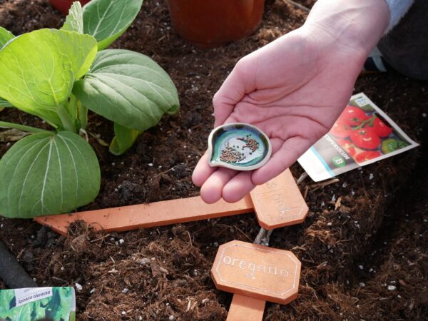 Handig zaaihulpje Lotte's Design