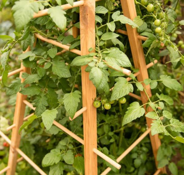 Houten piramide plantensteun Esschert Design