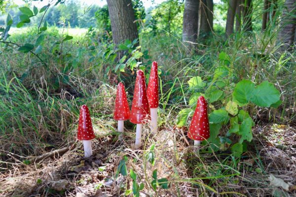 Paddenstoelen Keramiek Lotte's Design