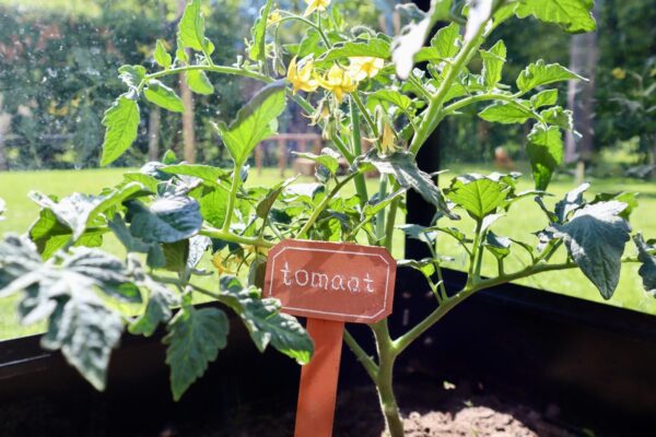 Plantensteker Terracotta groot Lotte's Design