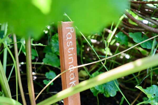 Plantensteker Terracotta klein Lotte's Design